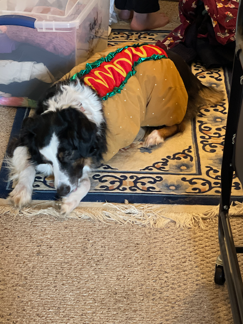 that's one hot dog