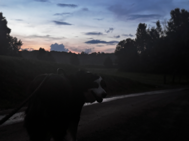 moby in tennessee