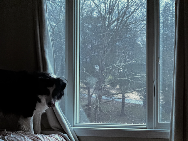 pensive moby in the morning