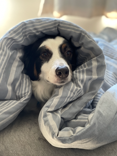 moby channeling babushka